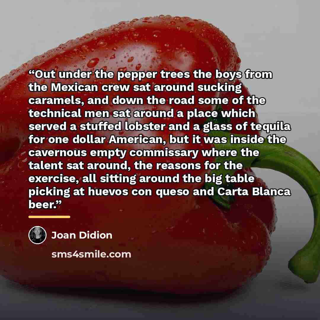 “Out under the pepper trees the boys from the Mexican crew sat around sucking caramels, and down the road some of the technical men sat around a place which served a stuffed lobster and a glass of tequila for one dollar American, but it was inside the cavernous empty commissary where the talent sat…” quote by Joan Didion
