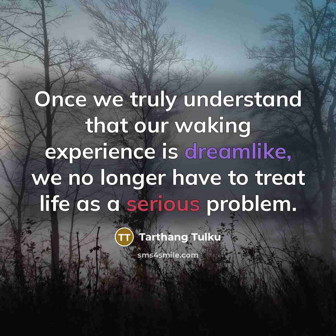“Once we truly understand that our waking experience is dreamlike, we no longer have to treat life as a serious problem.” quote by Tarthang Tulku