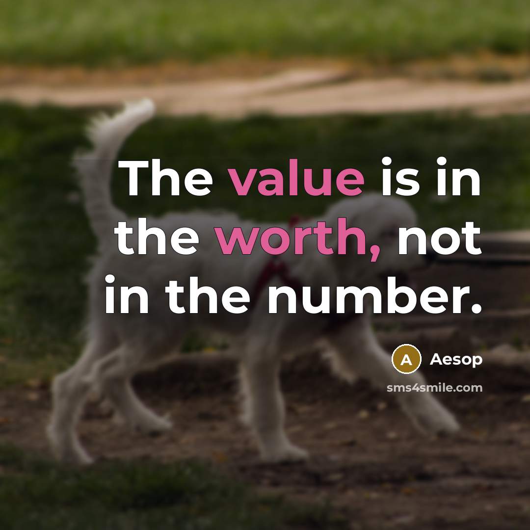 “The value is in the worth, not in the number.” quote by Aesop