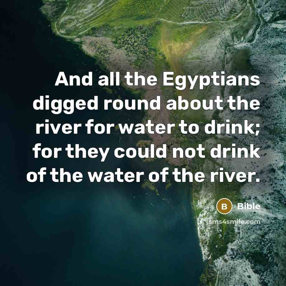 “And all the Egyptians digged round about the river for water to drink; for they could not drink of the water of the river.” quote by Bible