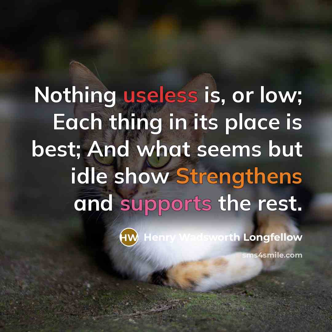 “Nothing useless is, or low; Each thing in its place is best; And what seems but idle show Strengthens and supports the rest.” quote by Henry Wadsworth Longfellow