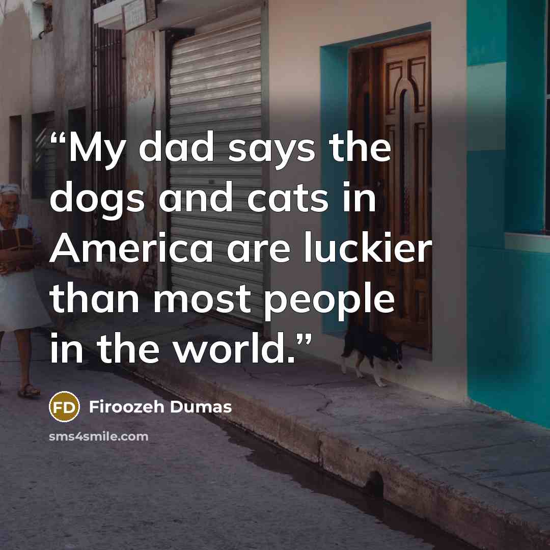 “My dad says the dogs and cats in America are luckier than most people in the world.” quote by Firoozeh Dumas