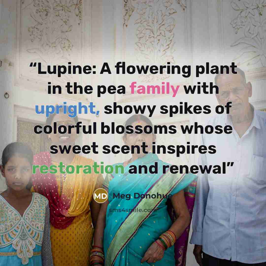 “Lupine: A flowering plant in the pea family with upright, showy spikes of colorful blossoms whose sweet scent inspires restoration and renewal” quote by Meg Donohue