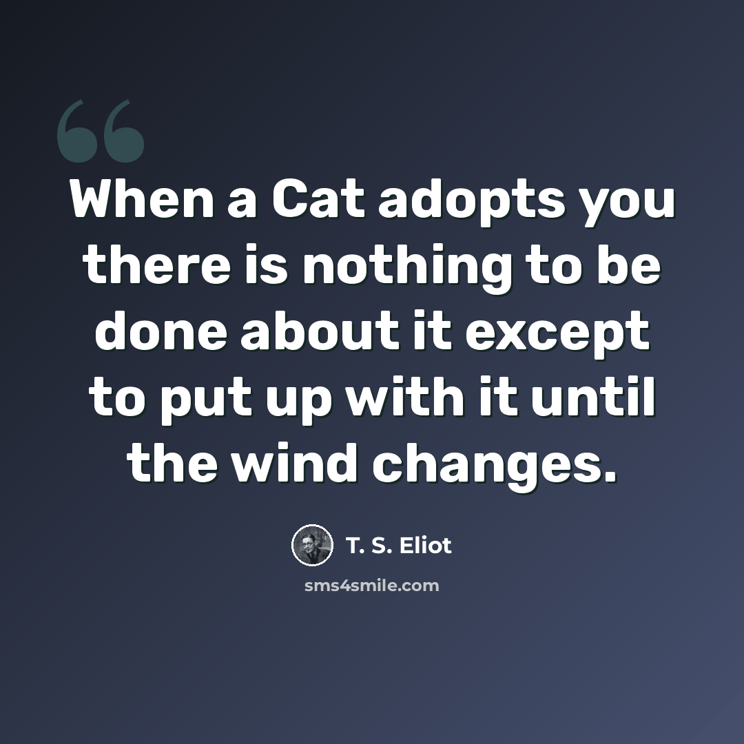 “When a Cat adopts you there is nothing to be done about it except to put up with it until the wind changes.” quote by T. S. Eliot