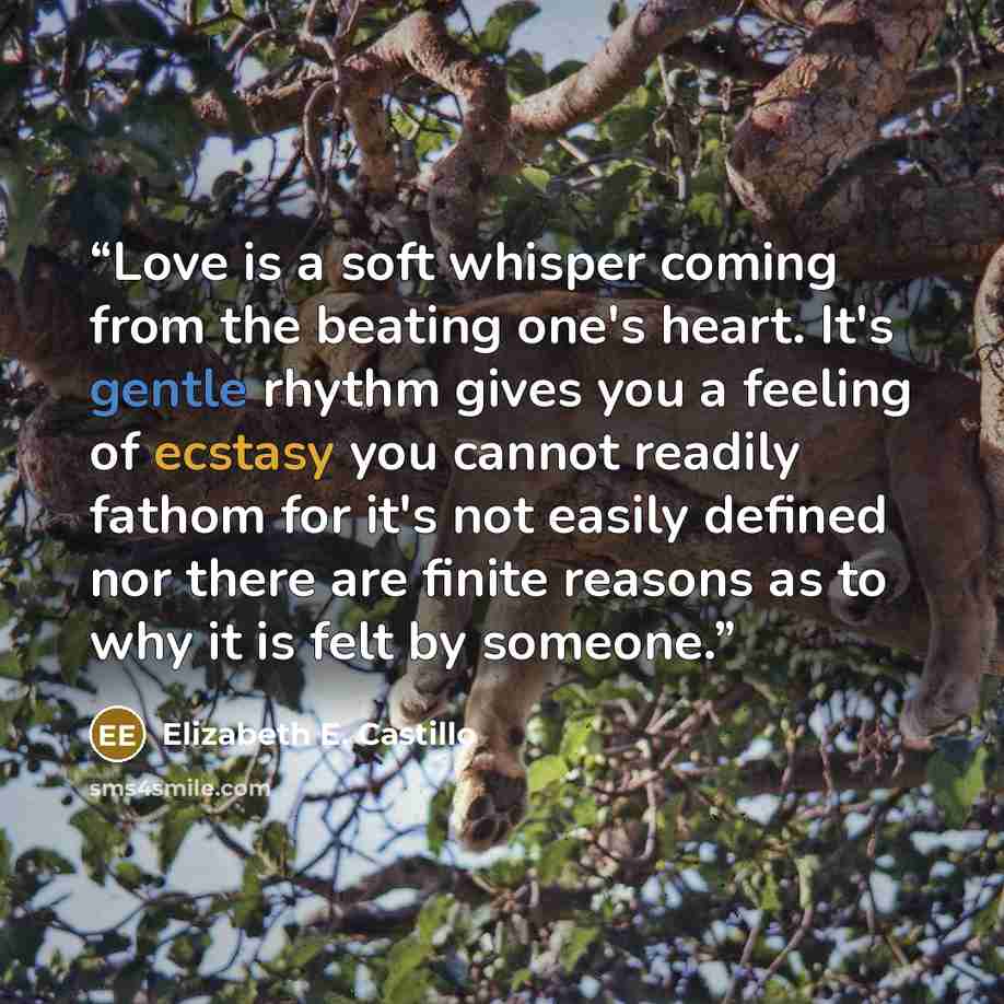 “Love is a soft whisper coming from the beating one's heart. It's gentle rhythm gives you a feeling of ecstasy you cannot readily fathom for it's not easily defined nor there are finite reasons as to why it is felt by someone.” quote by Elizabeth E. Castillo
