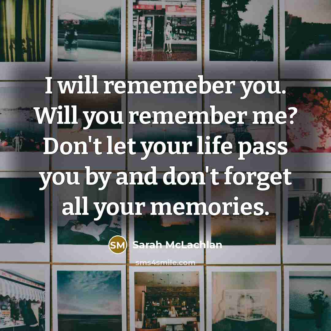 “I will rememeber you. Will you remember me? Don't let your life pass you by and don't forget all your memories.” quote by Sarah McLachlan