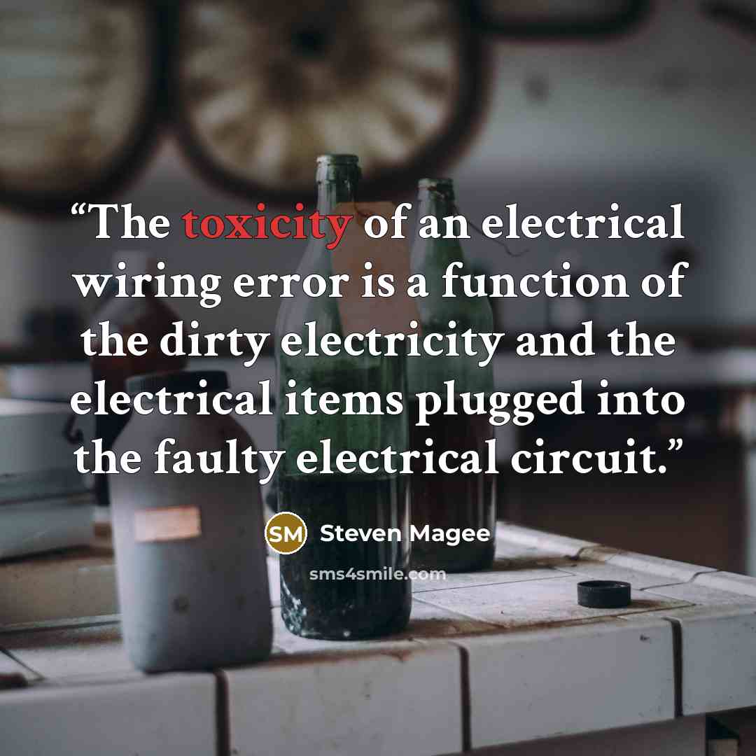 “The toxicity of an electrical wiring error is a function of the dirty electricity and the electrical items plugged into the faulty electrical circuit.” quote by Steven Magee