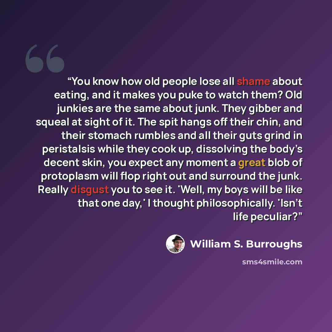 “You know how old people lose all shame about eating, and it makes you puke to watch them? Old junkies are the same about junk. They gibber and squeal at sight of it. The spit hangs off their chin, and their stomach rumbles and all their guts grind in peristalsis while they cook up, dissolving the…” quote by William S. Burroughs