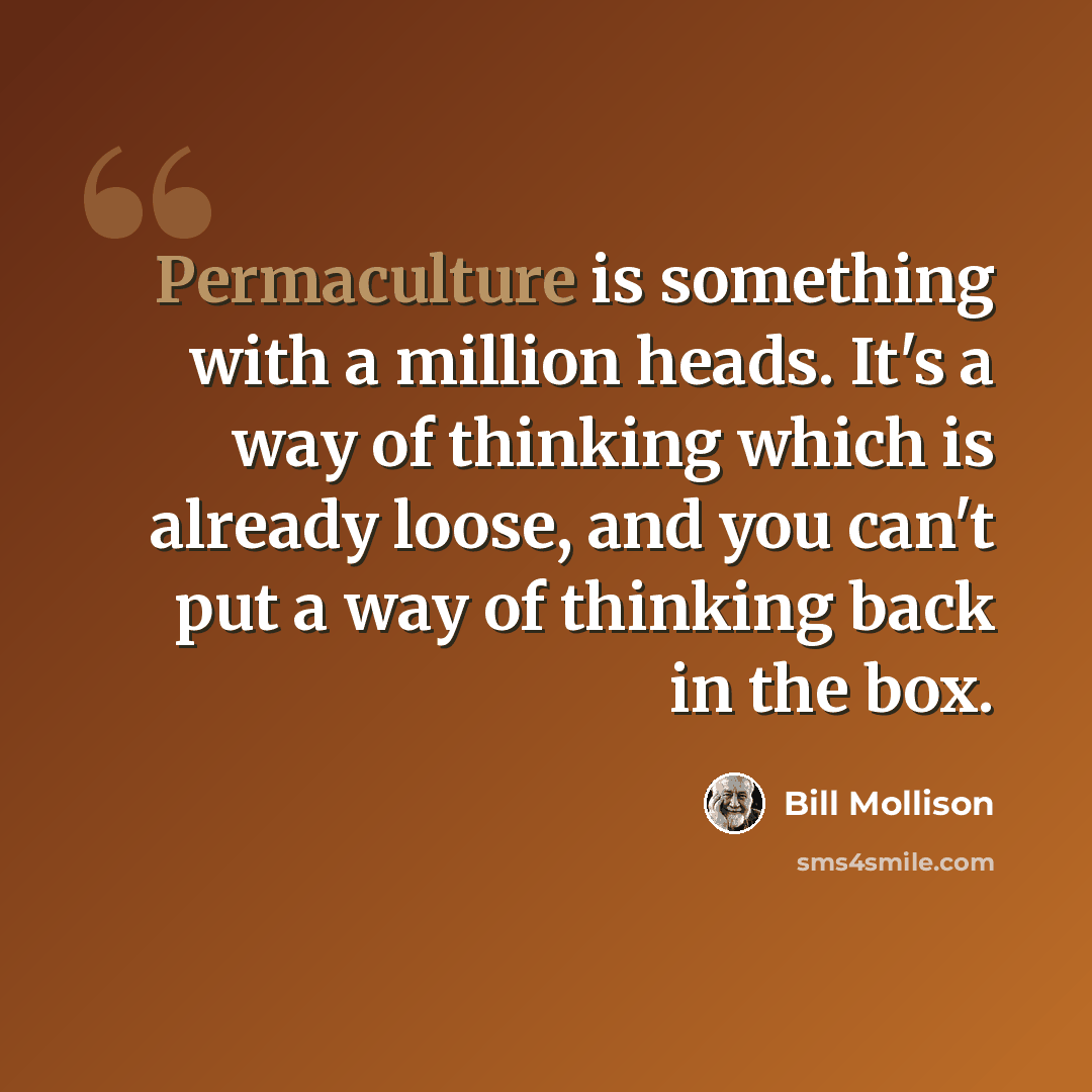“Permaculture is something with a million heads. It's a way of thinking which is already loose, and you can't put a way of thinking back in the box.” quote by Bill Mollison