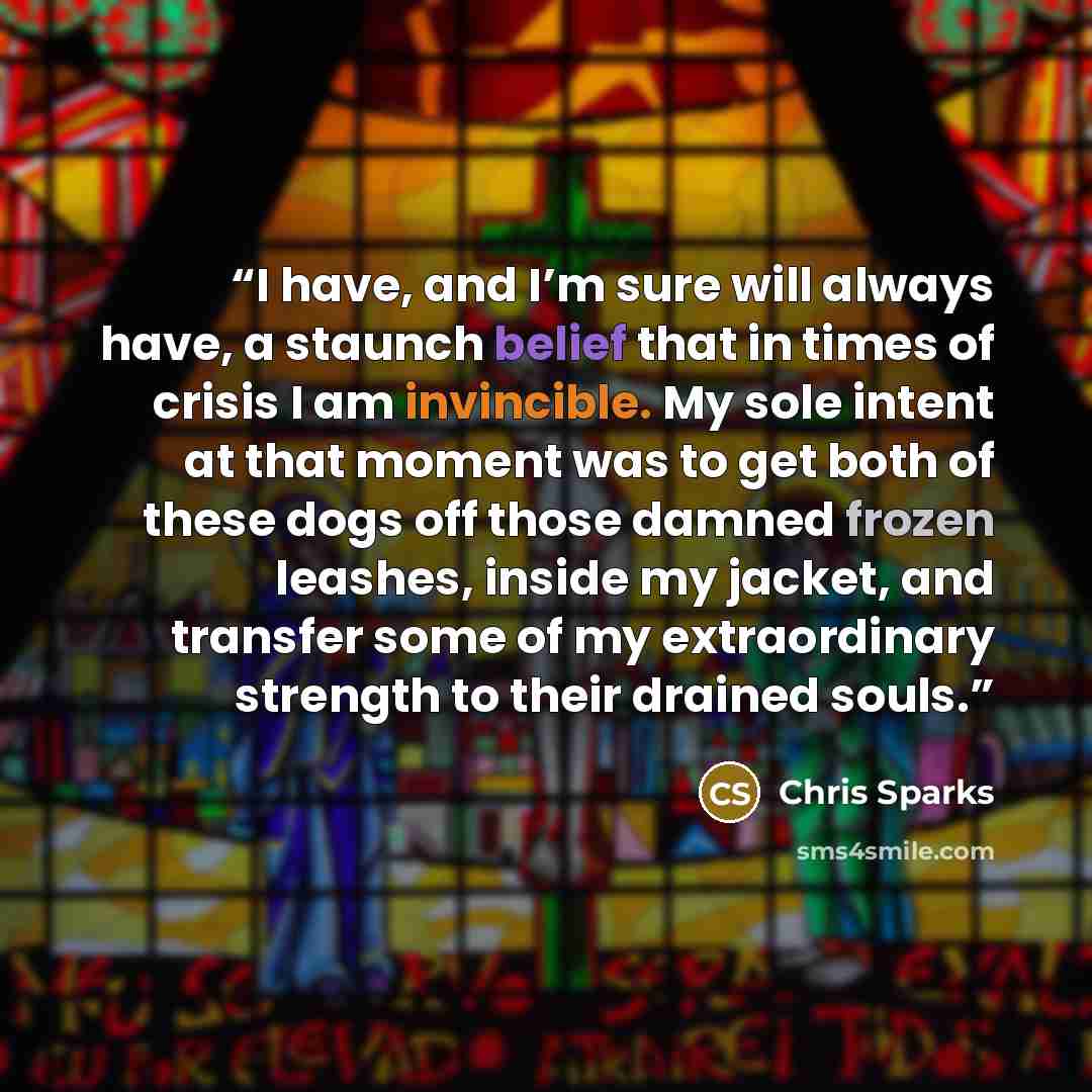 “I have, and I’m sure will always have, a staunch belief that in times of crisis I am invincible. My sole intent at that moment was to get both of these dogs off those damned frozen leashes, inside my jacket, and transfer some of my extraordinary strength to their drained souls.” quote by Chris Sparks