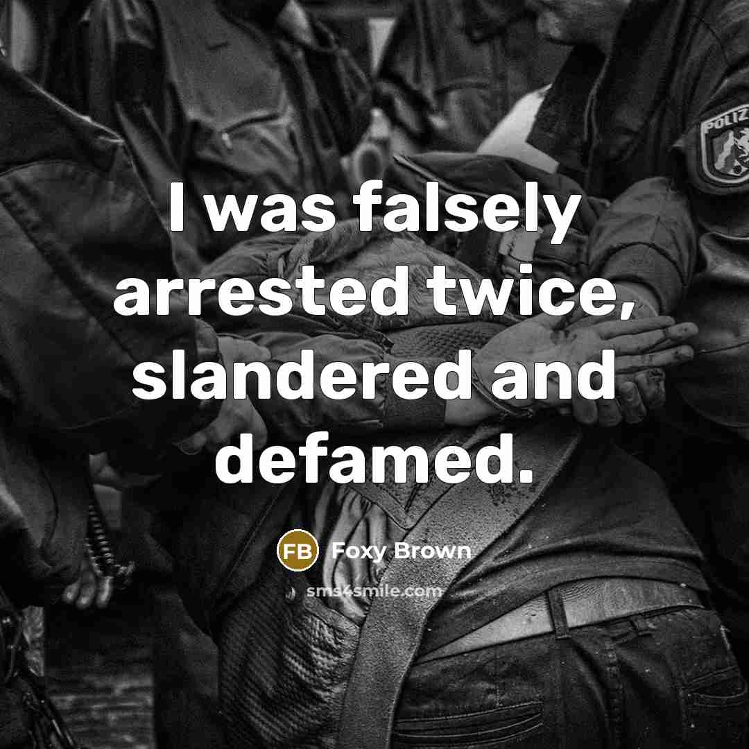 “I was falsely arrested twice, slandered and defamed.” quote by Foxy Brown