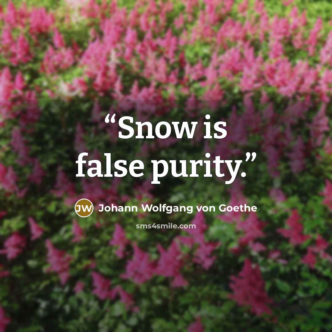 “Snow is false purity.” quote by Johann Wolfgang von Goethe
