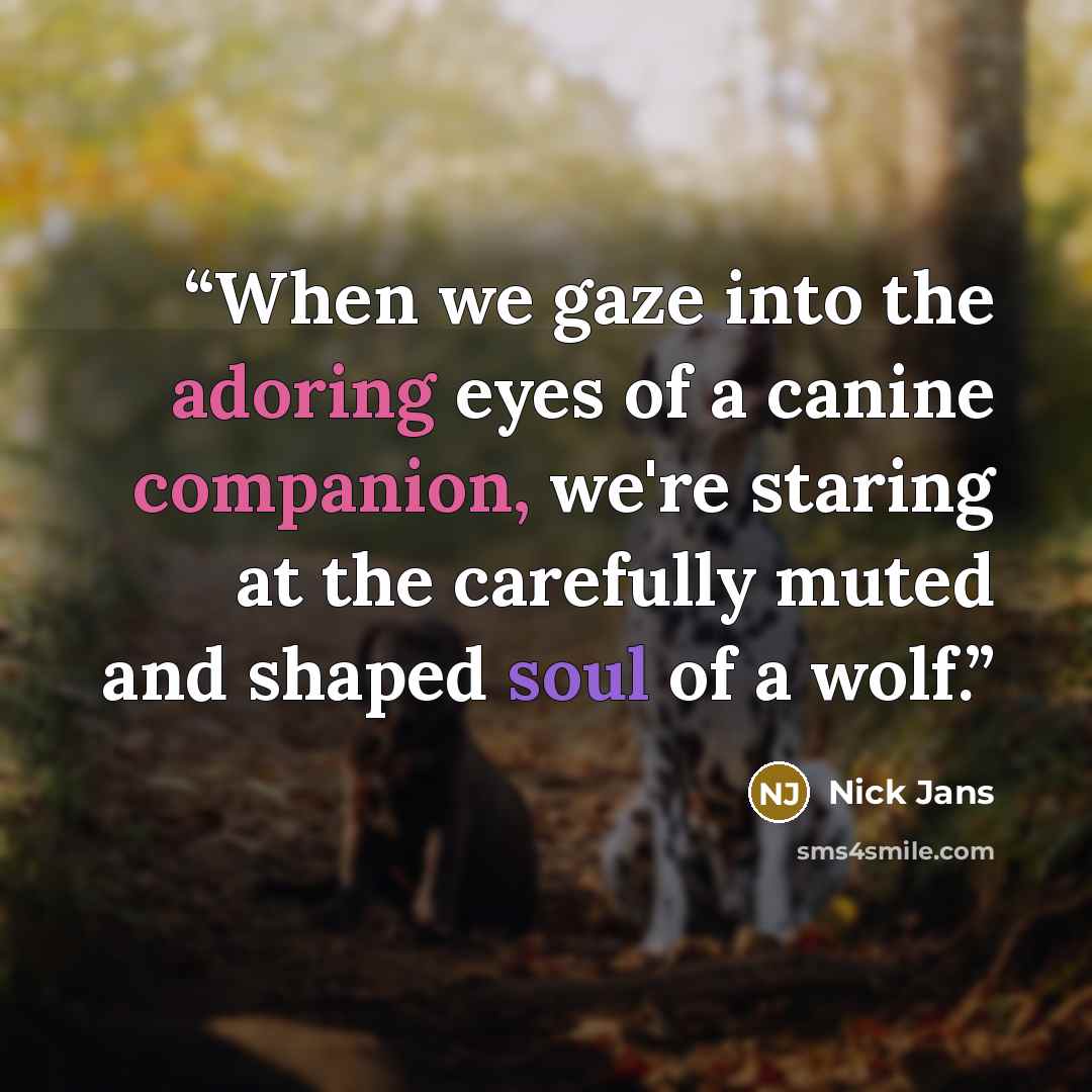 “When we gaze into the adoring eyes of a canine companion, we're staring at the carefully muted and shaped soul of a wolf.” quote by Nick Jans
