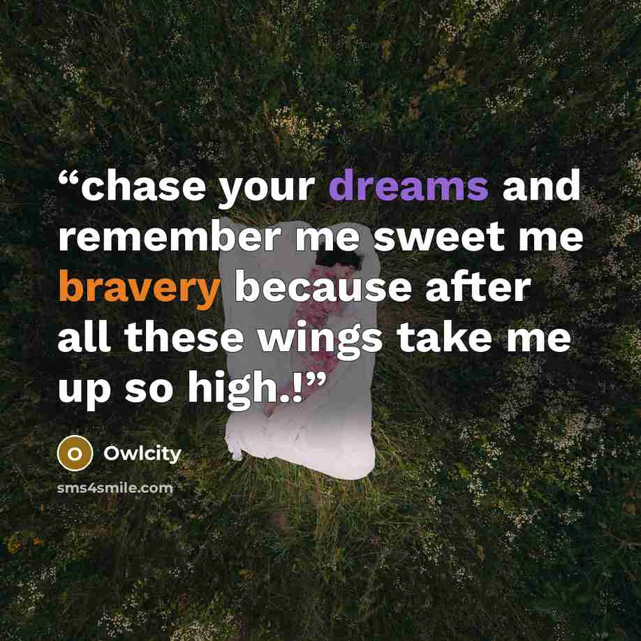 “chase your dreams and remember me sweet me bravery because after all these wings take me up so high.!” quote by Owlcity