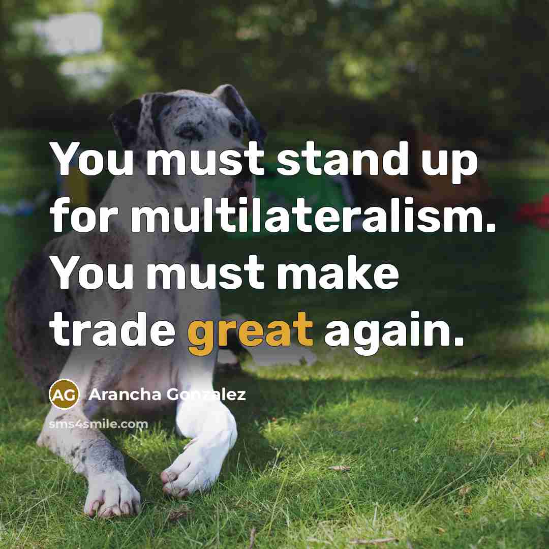 “You must stand up for multilateralism. You must make trade great again.” quote by Arancha Gonzalez