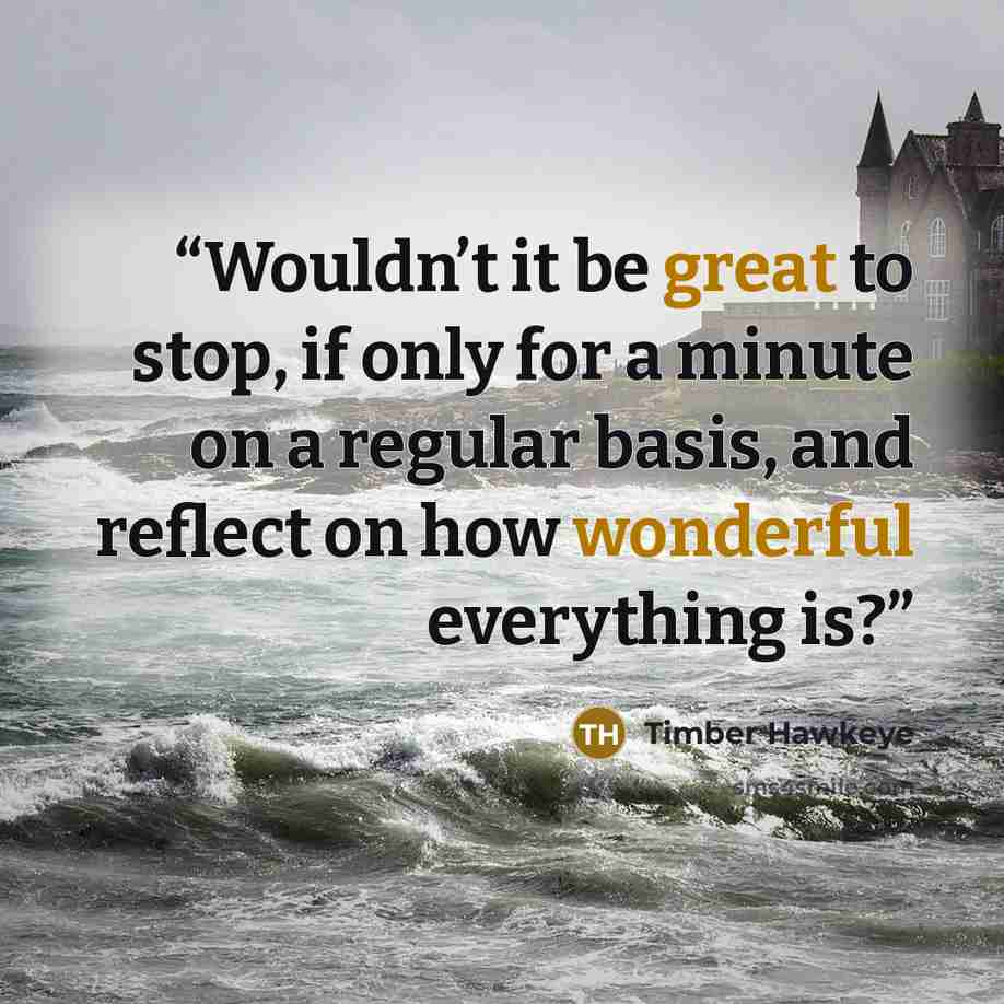 “Wouldn’t it be great to stop, if only for a minute on a regular basis, and reflect on how wonderful everything is?” quote by Timber Hawkeye