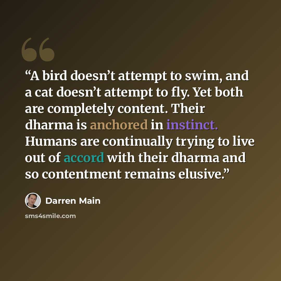 “A bird doesn’t attempt to swim, and a cat doesn’t attempt to fly. Yet both are completely content. Their dharma is anchored in instinct. Humans are continually trying to live out of accord with their dharma and so contentment remains elusive.” quote by Darren Main