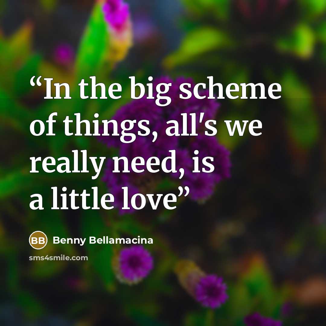 “In the big scheme of things, all's we really need, is a little love” quote by Benny Bellamacina