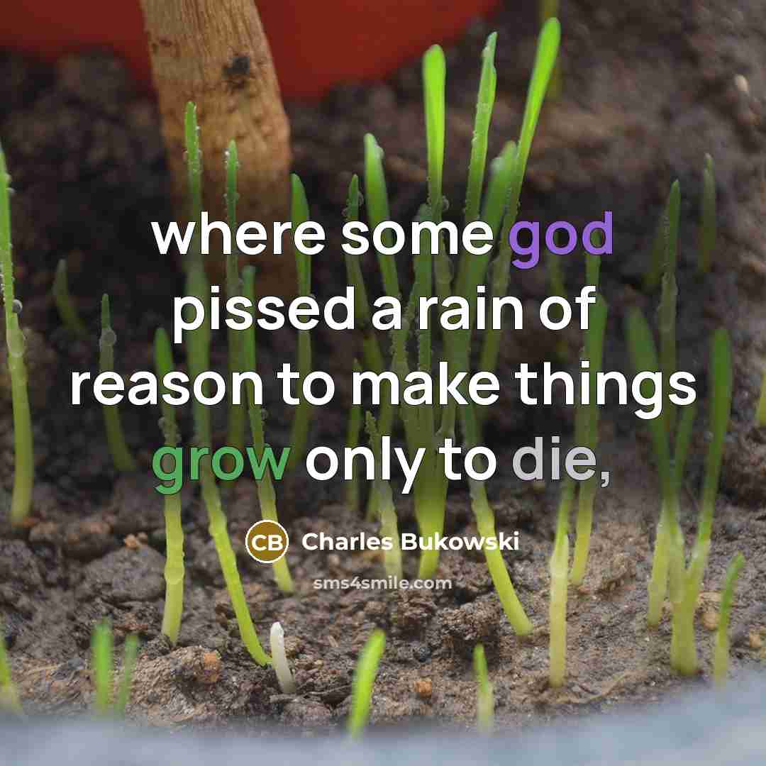 “where some god pissed a rain of reason to make things grow only to die,” quote by Charles Bukowski