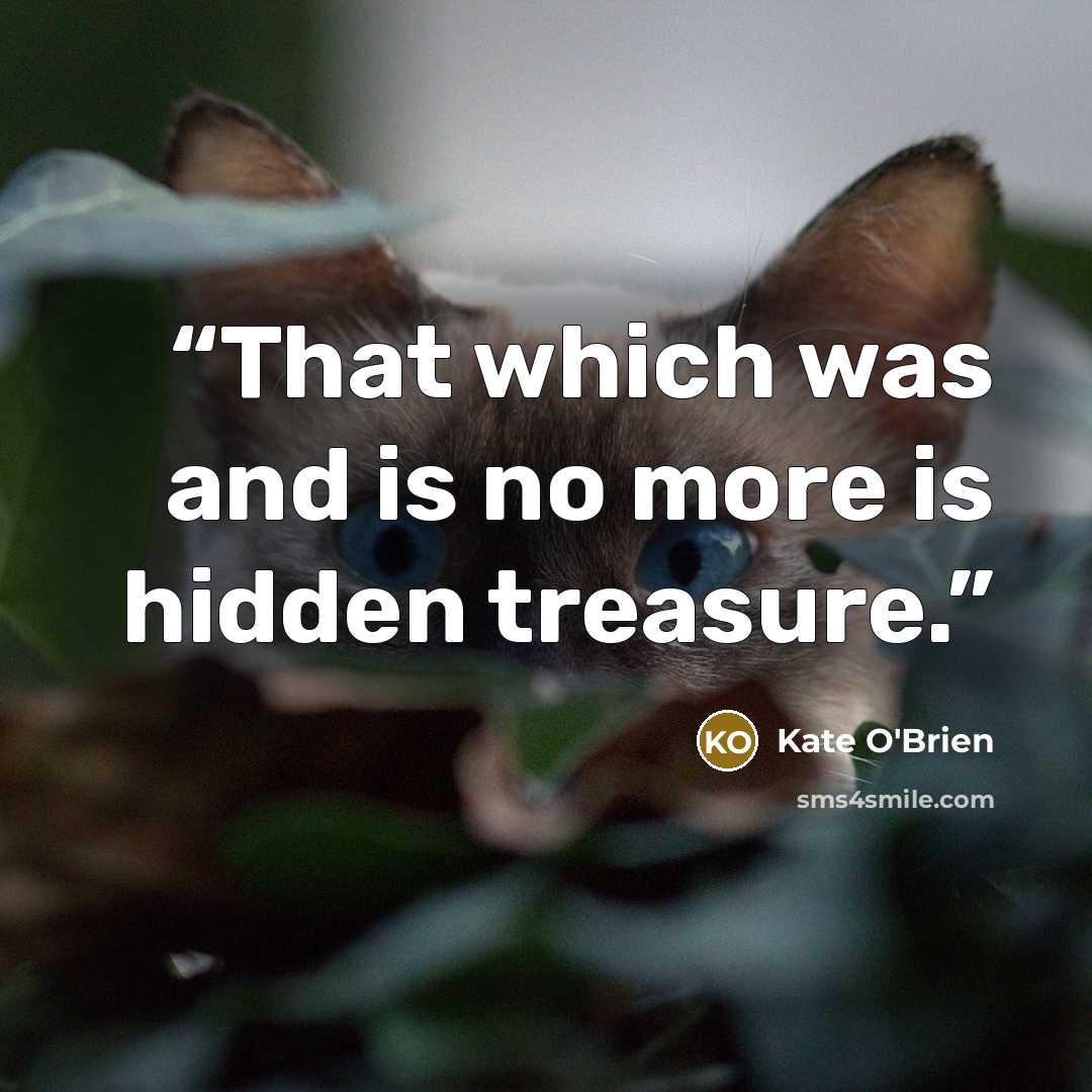“That which was and is no more is hidden treasure.” quote by Kate O'Brien