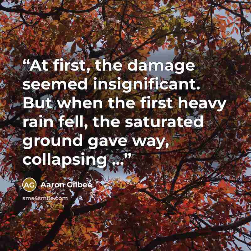 “At first, the damage seemed insignificant. But when the first heavy rain fell, the saturated ground gave way, collapsing ...” quote by Aaron Gilbee