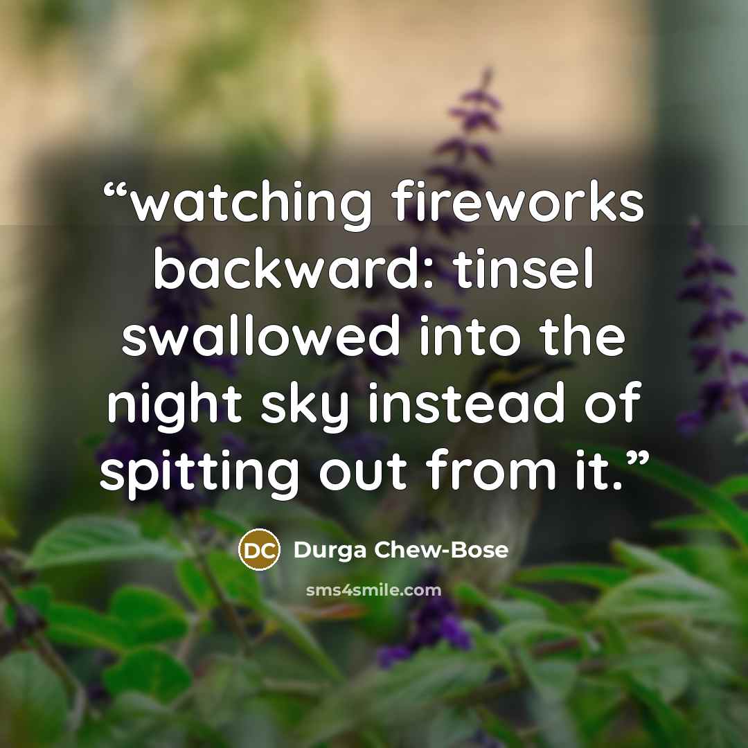 “watching fireworks backward: tinsel swallowed into the night sky instead of spitting out from it.” quote by Durga Chew-Bose