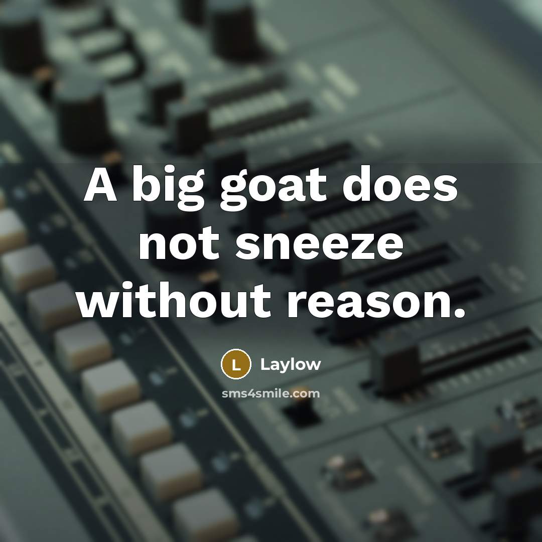 “A big goat does not sneeze without reason.” quote by Laylow