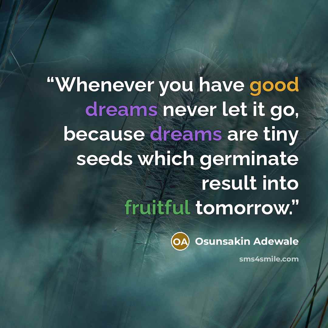 “Whenever you have good dreams never let it go, because dreams are tiny seeds which germinate result into fruitful tomorrow.” quote by Osunsakin Adewale