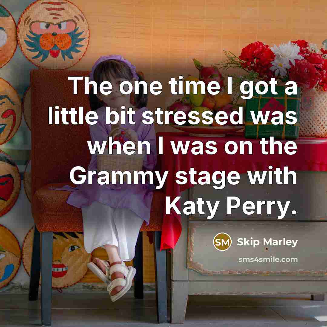 “The one time I got a little bit stressed was when I was on the Grammy stage with Katy Perry.” quote by Skip Marley