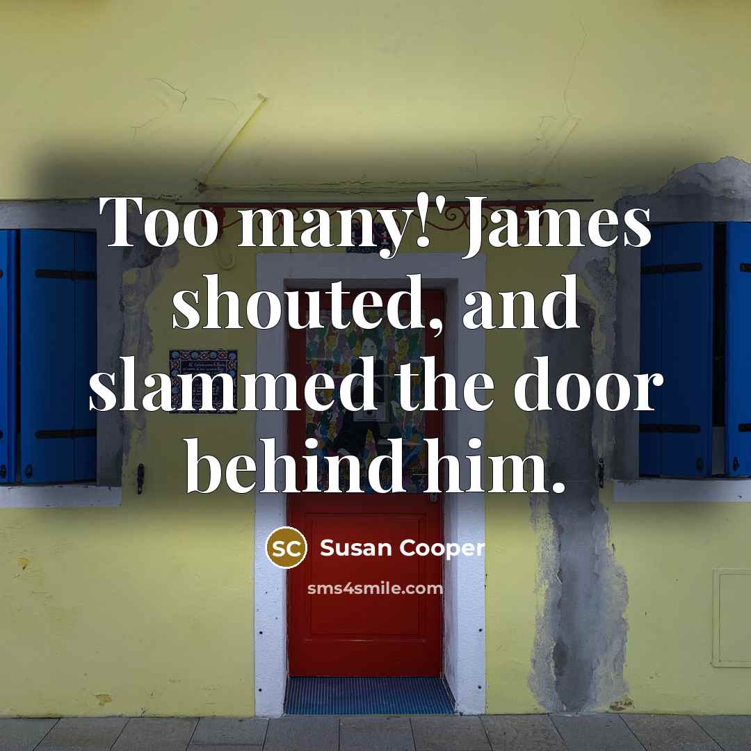 “Too many!' James shouted, and slammed the door behind him.” quote by Susan Cooper