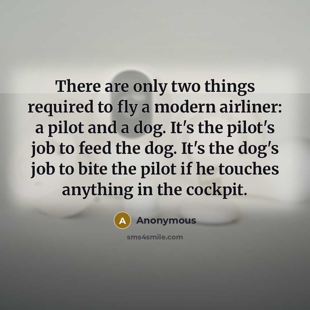 “There are only two things required to fly a modern airliner: a pilot and a dog. It's the pilot's job to feed the dog. It's the dog's job to bite the pilot if he touches anything in the cockpit.” quote by Anonymous