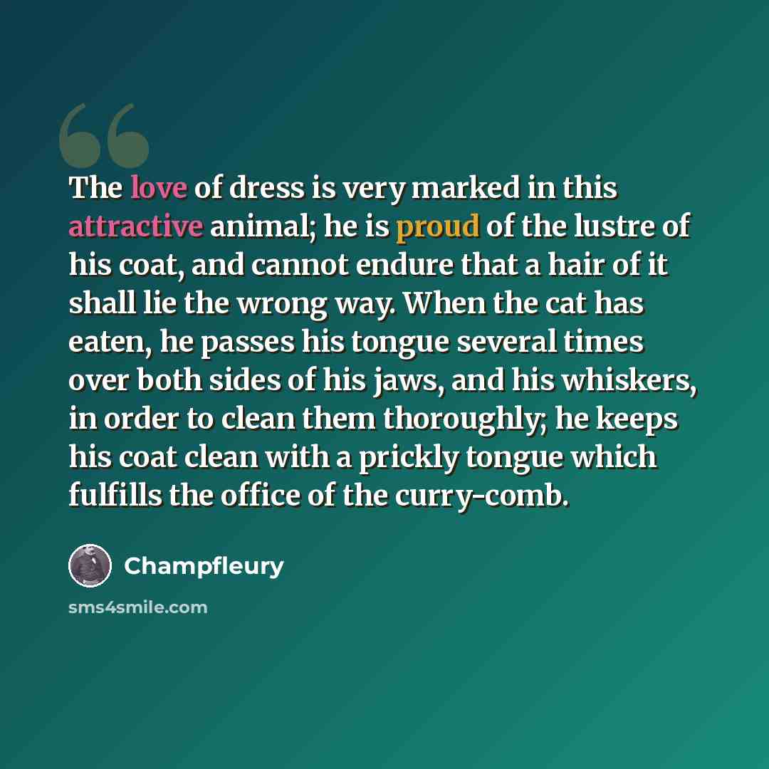 “The love of dress is very marked in this attractive animal; he is proud of the lustre of his coat, and cannot endure that a hair of it shall lie the wrong way. When the cat has eaten, he passes his tongue several times over both sides of his jaws, and his whiskers, in order to clean them…” quote by Champfleury