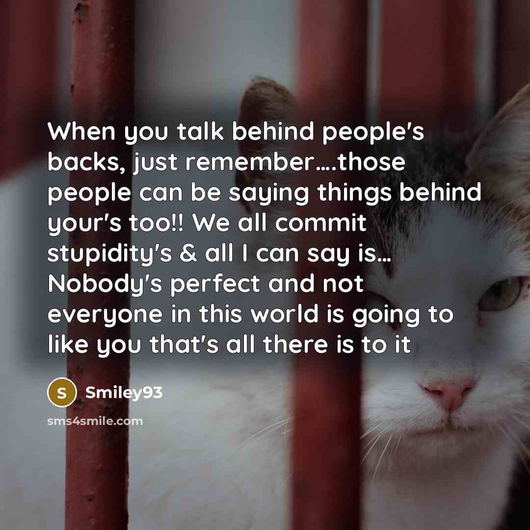 “When you talk behind people's backs, just remember….those people can be saying things behind your's too!! We all commit stupidity's & all I can say is… Nobody's perfect and not everyone in this world is going to like you that's all there is to it” quote by Smiley93