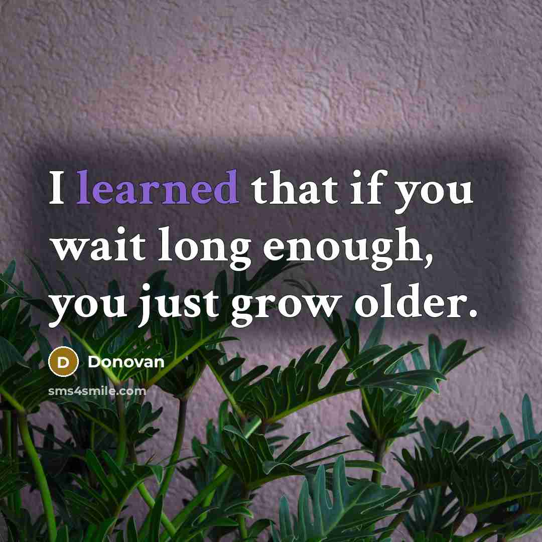 “I learned that if you wait long enough, you just grow older.” quote by Donovan