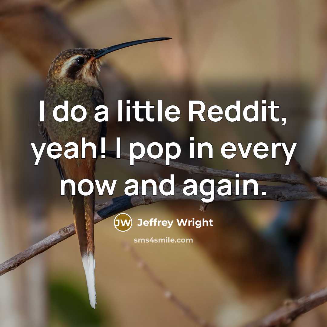 “I do a little Reddit, yeah! I pop in every now and again.” quote by Jeffrey Wright