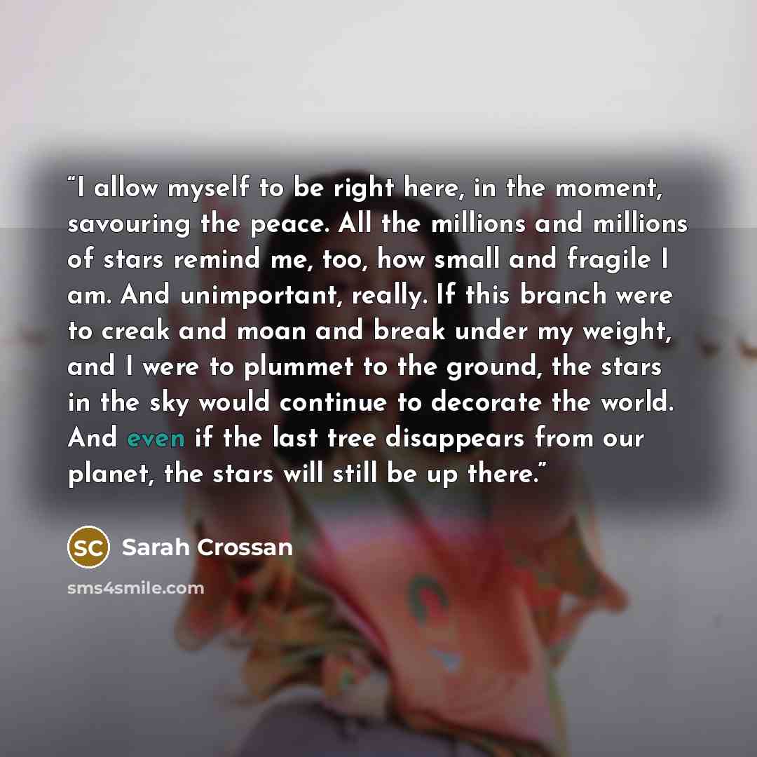 “I allow myself to be right here, in the moment, savouring the peace. All the millions and millions of stars remind me, too, how small and fragile I am. And unimportant, really. If this branch were to creak and moan and break under my weight, and I were to plummet to the ground, the stars in the…” quote by Sarah Crossan