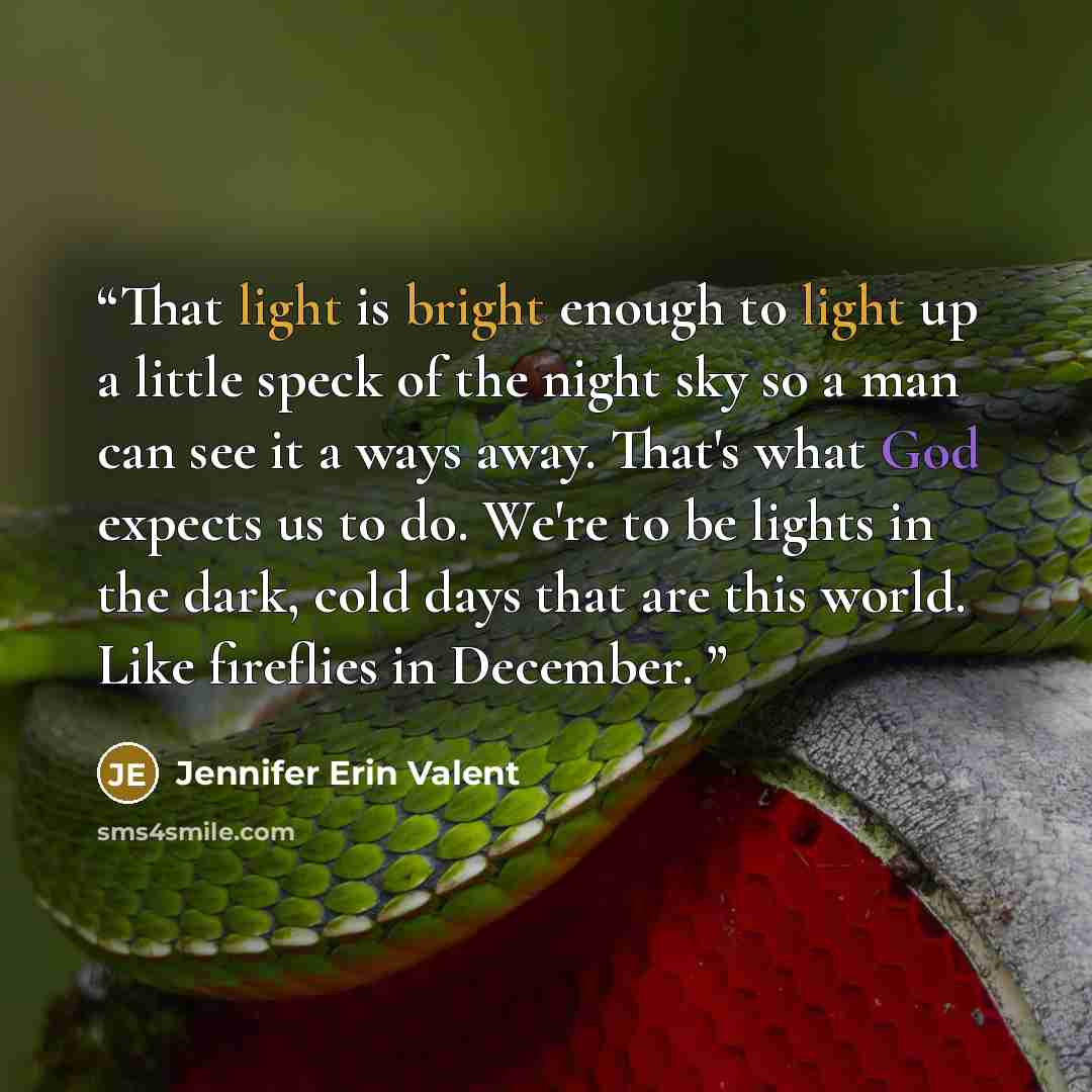 “That light is bright enough to light up a little speck of the night sky so a man can see it a ways away. That's what God expects us to do. We're to be lights in the dark, cold days that are this world. Like fireflies in December.” quote by Jennifer Erin Valent