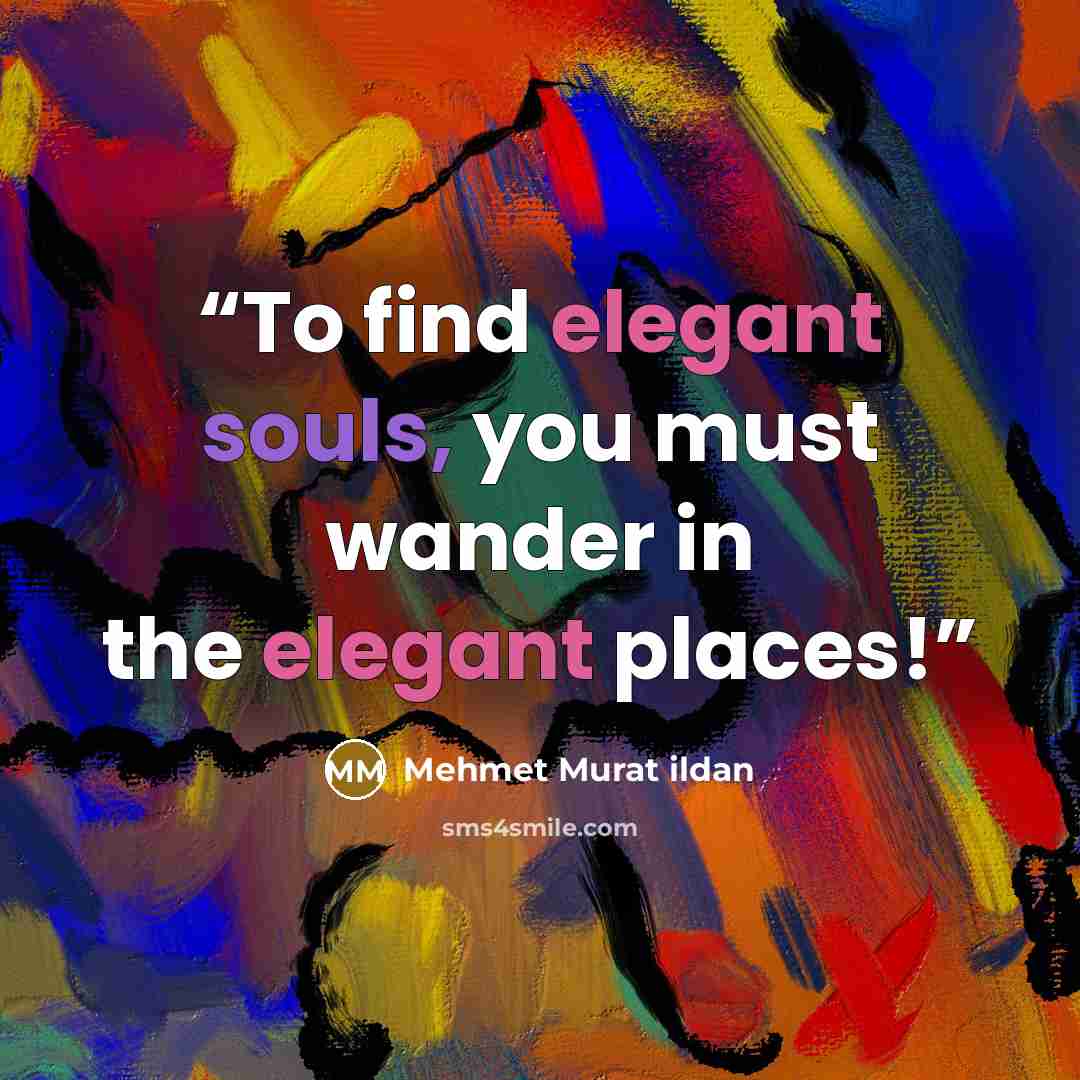 “To find elegant souls, you must wander in the elegant places!” quote by Mehmet Murat ildan