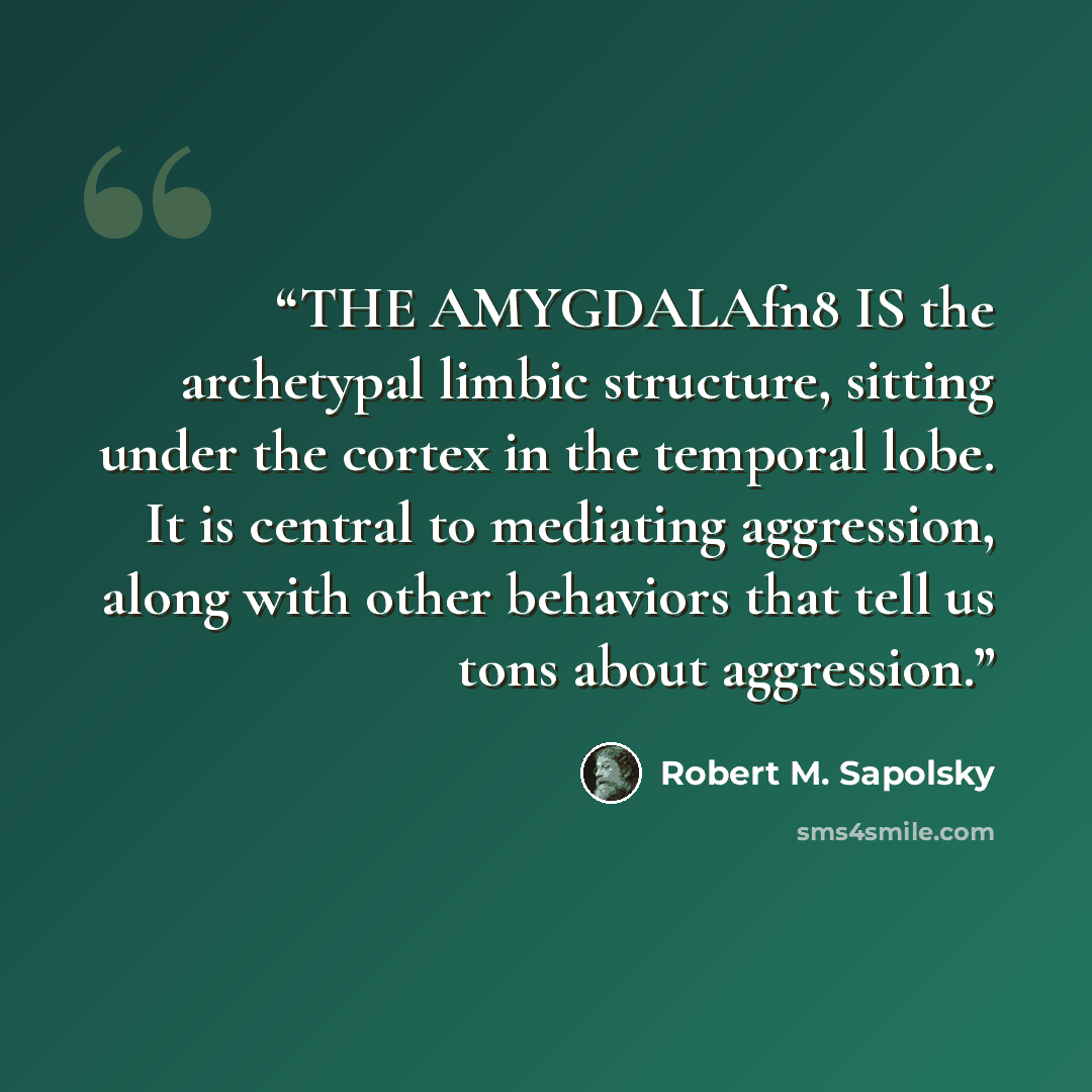 “THE AMYGDALAfn8 IS the archetypal limbic structure, sitting under the cortex in the temporal lobe. It is central to mediating aggression, along with other behaviors that tell us tons about aggression.” quote by Robert M. Sapolsky