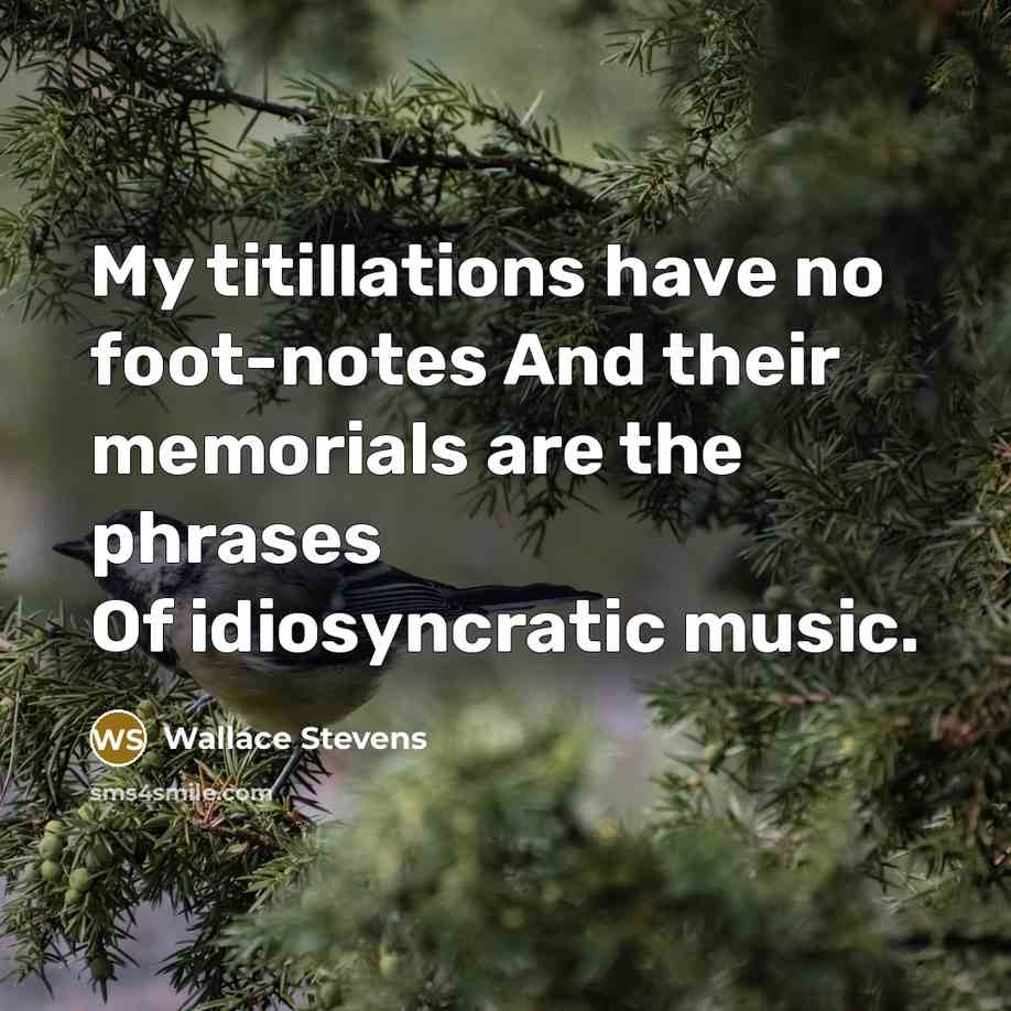 “My titillations have no foot-notes And their memorials are the phrases Of idiosyncratic music.” quote by Wallace Stevens