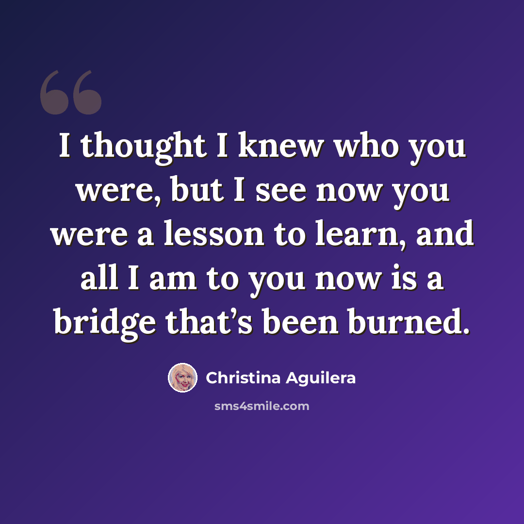 “I thought I knew who you were, but I see now you were a lesson to learn, and all I am to you now is a bridge that’s been burned.” quote by Christina Aguilera