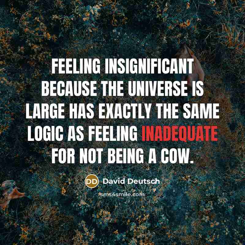 “Feeling insignificant because the universe is large has exactly the same logic as feeling inadequate for not being a cow.” quote by David Deutsch