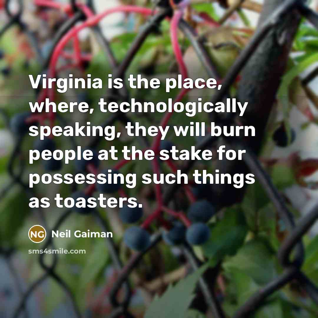 “Virginia is the place, where, technologically speaking, they will burn people at the stake for possessing such things as toasters.” quote by Neil Gaiman