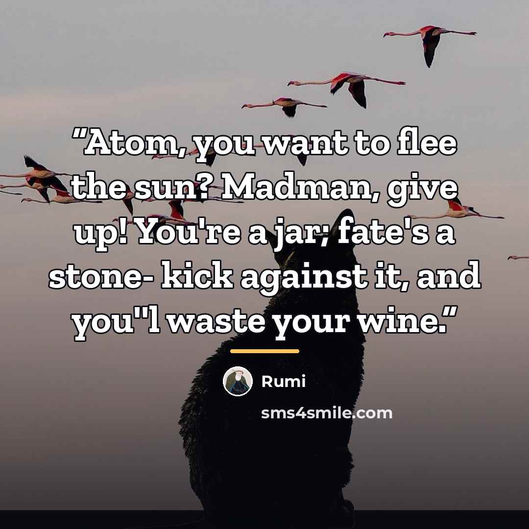 “Atom, you want to flee the sun? Madman, give up! You're a jar; fate's a stone- kick against it, and you''l waste your wine.” quote by Rumi