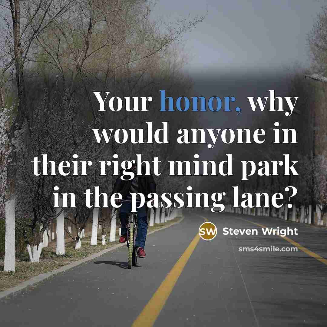 “Your honor, why would anyone in their right mind park in the passing lane?” quote by Steven Wright