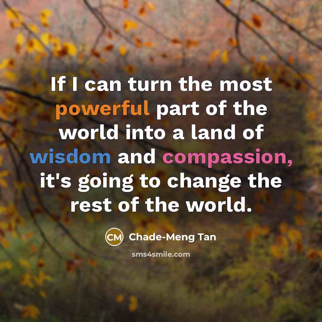 “If I can turn the most powerful part of the world into a land of wisdom and compassion, it's going to change the rest of the world.” quote by Chade-Meng Tan