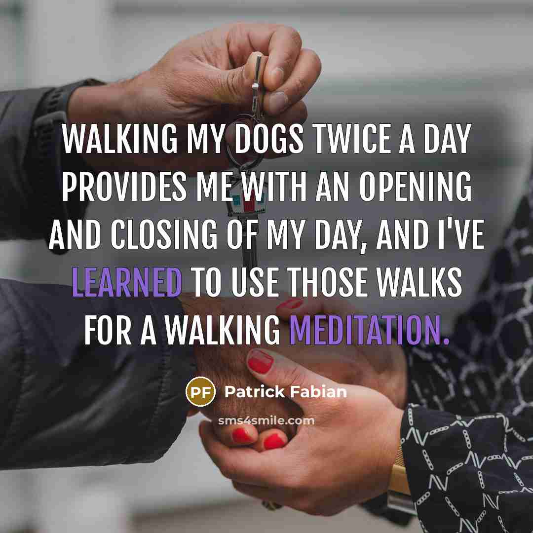 “Walking my dogs twice a day provides me with an opening and closing of my day, and I've learned to use those walks for a walking meditation.” quote by Patrick Fabian
