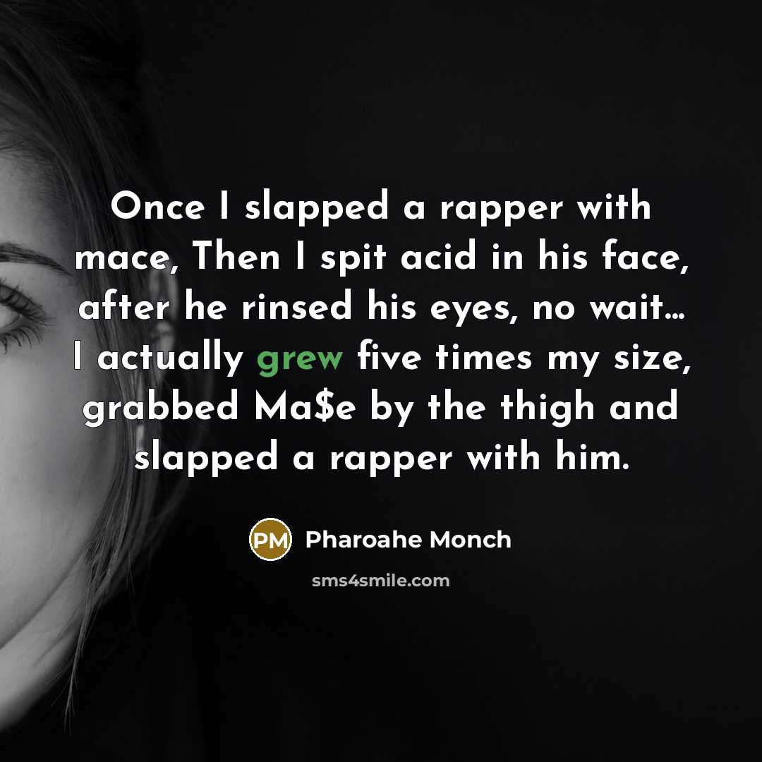 “Once I slapped a rapper with mace, Then I spit acid in his face, after he rinsed his eyes, no wait... I actually grew five times my size, grabbed Ma$e by the thigh and slapped a rapper with him.” quote by Pharoahe Monch