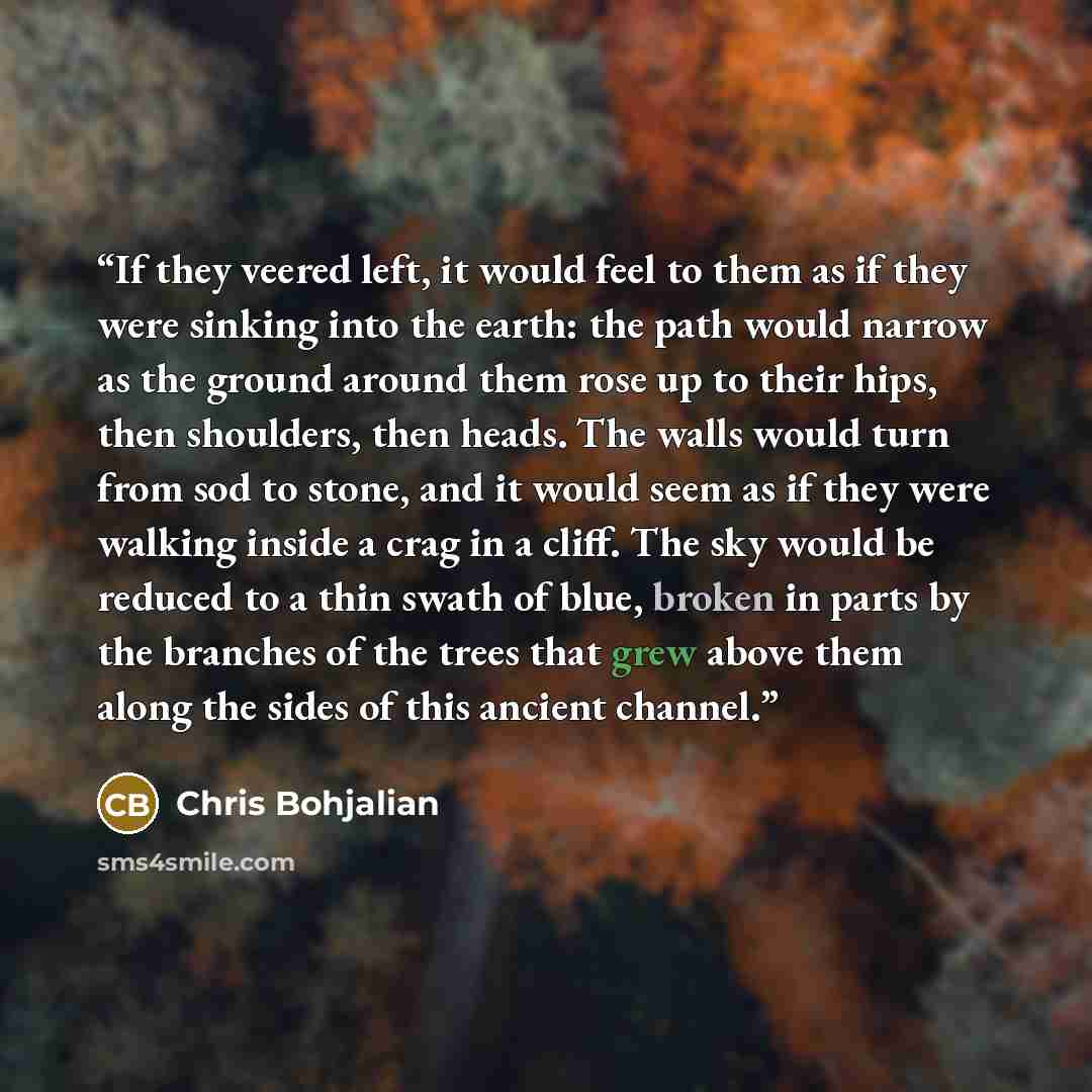 “If they veered left, it would feel to them as if they were sinking into the earth: the path would narrow as the ground around them rose up to their hips, then shoulders, then heads. The walls would turn from sod to stone, and it would seem as if they were walking inside a crag in a cliff. The sky…” quote by Chris Bohjalian