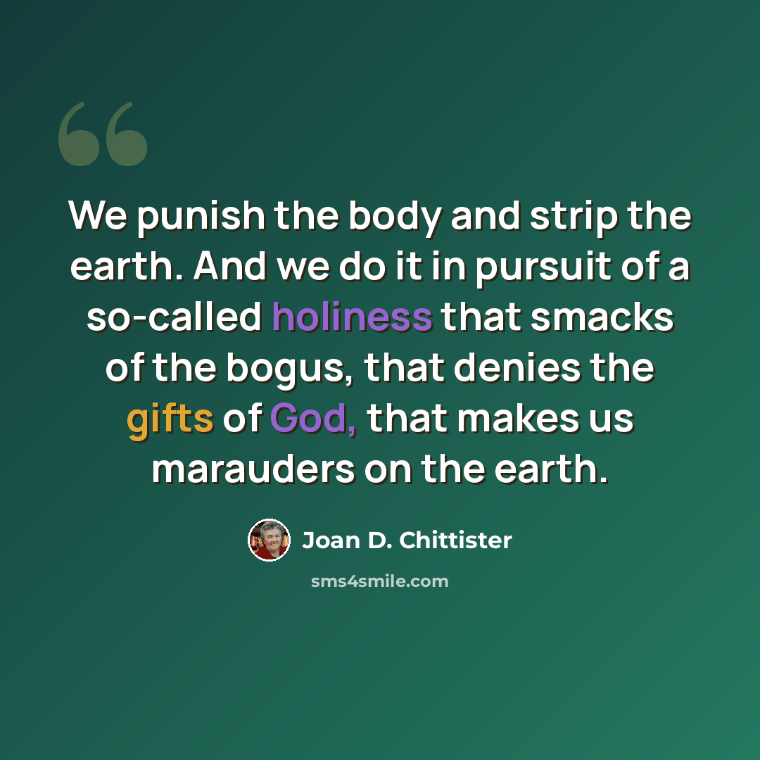 “We punish the body and strip the earth. And we do it in pursuit of a so-called holiness that smacks of the bogus, that denies the gifts of God, that makes us marauders on the earth.” quote by Joan D. Chittister